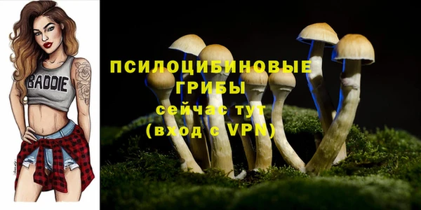 дживик Новоуральск
