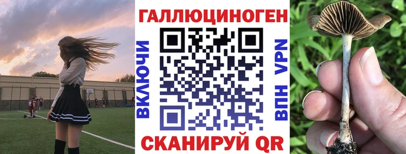 Псилоцибиновые грибы ЛСД Щучье
